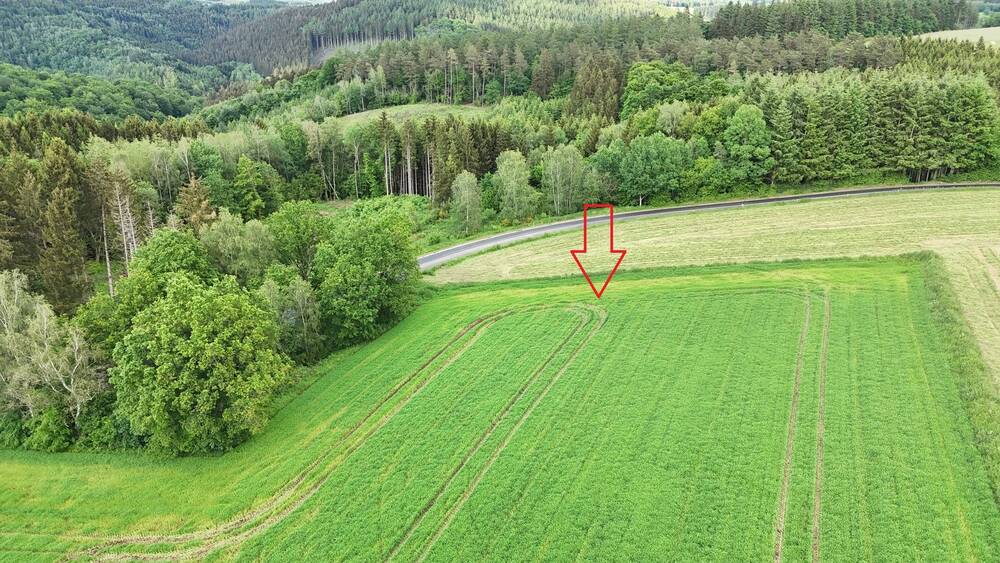 Terrain à vendre à Houffalize 6660 6750.00€ 0 chambres m² - annonce 123175