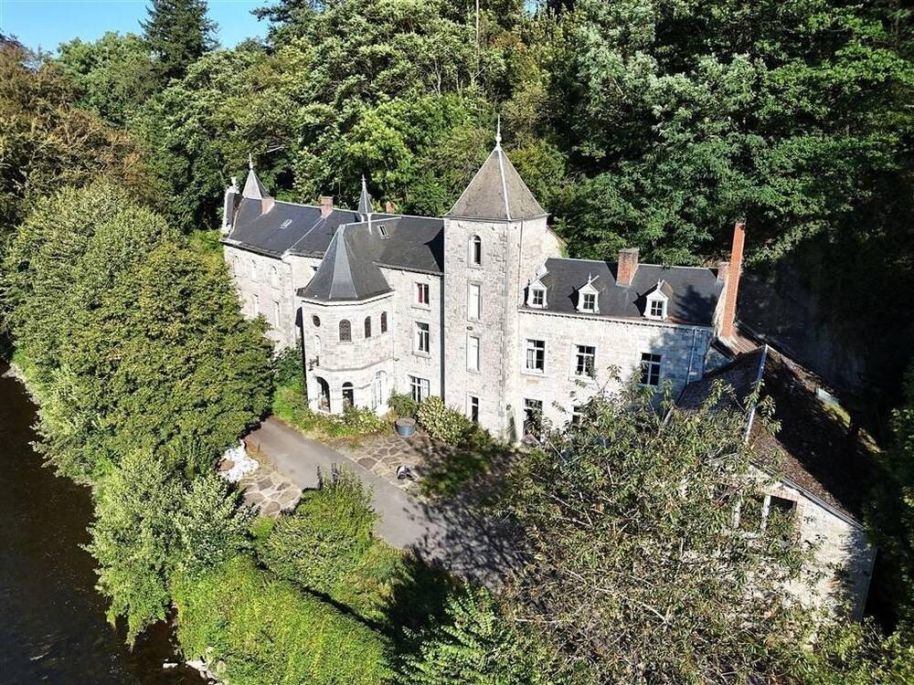 Château à vendre à Hotton 6990 570000.00€ 12 chambres 1175.00m² - annonce 210367