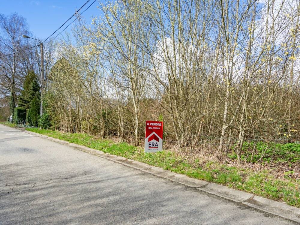 Terrain à vendre à Houffalize 6660 60000.00€ 0 chambres 1175.00m² - annonce 241895