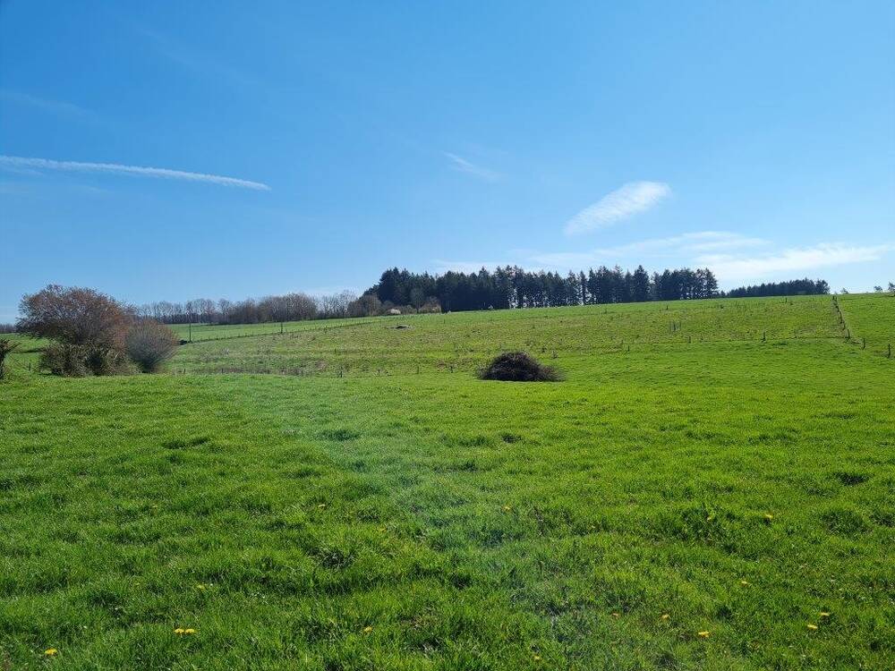 Terrain à vendre à La Roche-en-Ardenne 6980 110000.00€ 0 chambres m² - annonce 245276